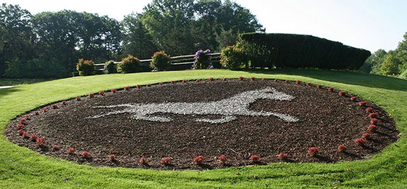 Business After Hours Table Top Expo