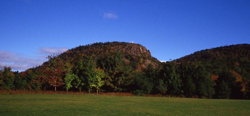 January Blog: What Happened to the P in Hamden?