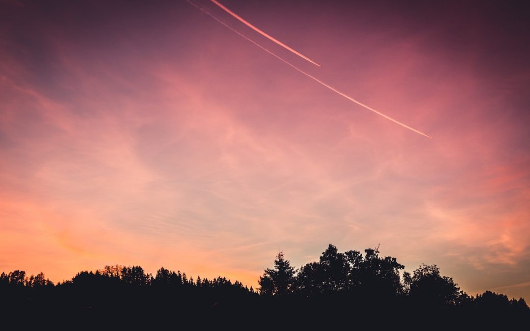 June Blog; The Summer Solstice